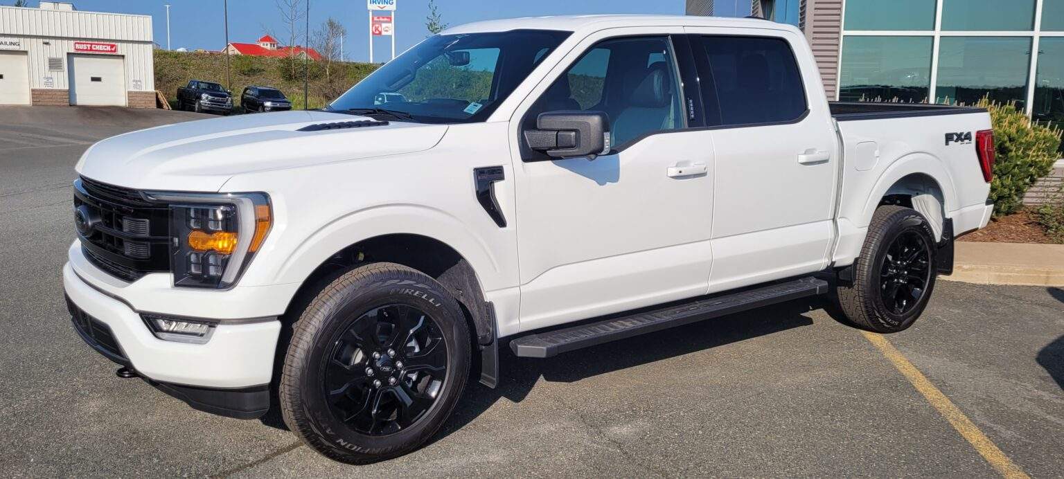 2024 F150 Platinum Colors Hayley Auberta